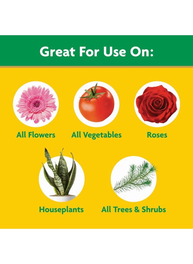 Miracle-Gro Water Soluble All Purpose Plant Food, For All Indoor or Outdoor Plants, Roses, Flowers, Vegetables, Houseplants, Trees, and Shrubs, 1.5 lbs - Image 4